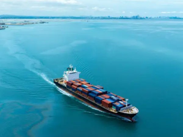 China to Algeria Sea Freight Service